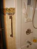 Shower Handle